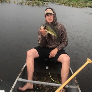 Meet your Posher, Tommy